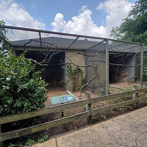 Jul. 2019 - Tropical Bird House Outdoor Section - St. Vincent Amazon Exhibit