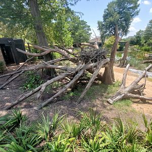 Jul. 2019 - New! Texas Wetlands - Bald Eagle Exhibit