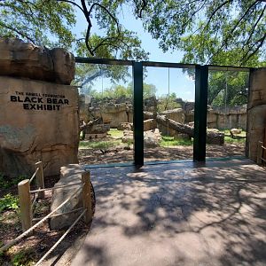 Jul. 2019 - Black Bear Exhibit - Middle Viewing