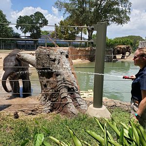 Jul. 2019 - McNair Elephant Habitat - Elephant Bath