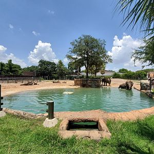 Jul. 2019 - McNair Elephant Habitat - 1 Acre Asian Elephant Left Yard - Pool