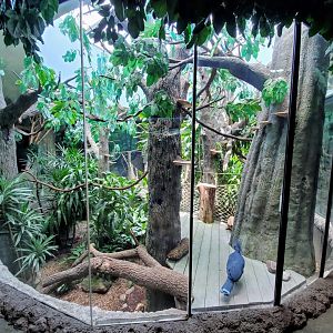 Jul. 2019 - Natural Encounters - Forest Canopy Exhibit (8 Species)