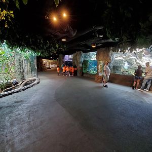 Jul. 2019 - Natural Encounters