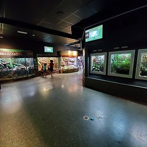 Jul. 2019 - Reptile & Amphibian House