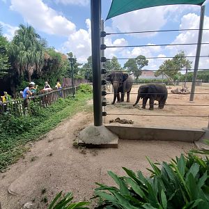 Jul. 2019 - McNair Elephant Habitat - 50,000 sq ft Left Yard