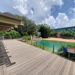 Jul. 2019 - McNair Elephant Habitat - Bull Yard Pool