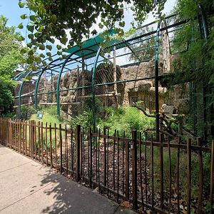 Jul. 2019 - Small Cats - Clouded Leopard Exhibit