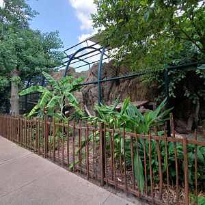 Jul. 2019 - Small Cats - Smaller Jaguar Exhibit