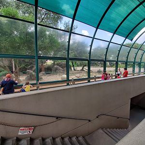 Jul. 2019 - Lion Exhibit - Viewing + Tunnel Entrance