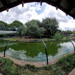 Jul. 2019 - Lion Exhibit Panorama