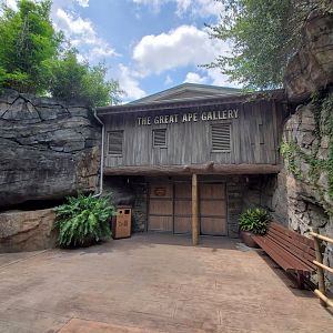 Jul. 2019 - African Forest - Great Ape Gallery Entrance