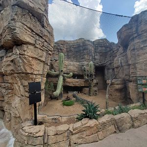 Jul. 2019 - Children's Zoo - Roadrunner/Burrowing Owl Exhibit
