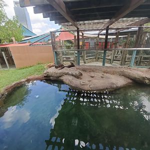 Jul. 2019 - Children's Zoo - River Otter Exhibit