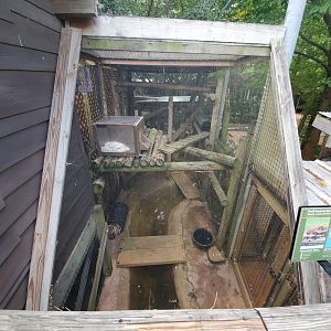 Jul. 2019 - Children's Zoo - Raccoon Exhibit