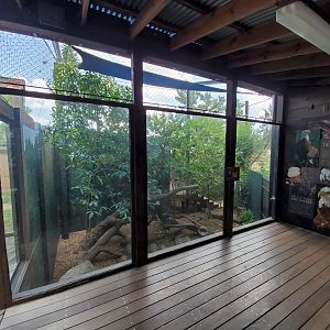 Jul. 2019 - Children's Zoo - Southern Bald Eagle Exhibit