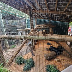 Jul. 2019 - Children's Zoo - American Porcupine Exhibit