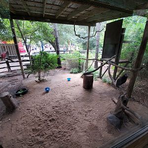 Jul. 2019 - Children's Zoo - Black Vulture Exhibit