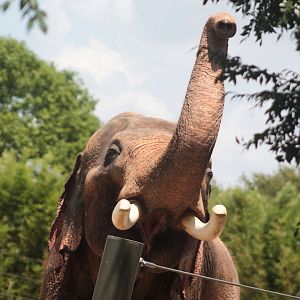 Jul. 2019 - McNair Elephant Habitat - Thai