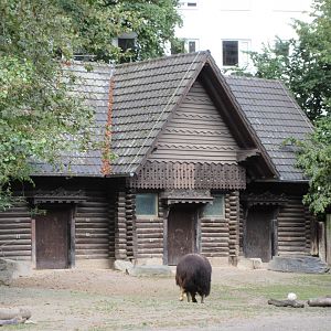 Muskox House