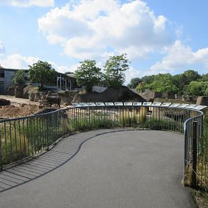 Asian Elephant Exhibit - multiple viewing areas