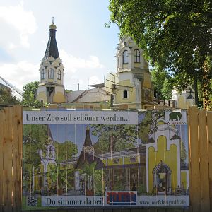 South American House - 2021