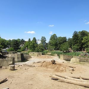 Asian Elephant Exhibit