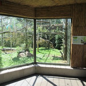 Lion-tailed Macaque Exhibit