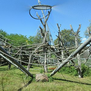 Bornean Orangutan Exhibit
