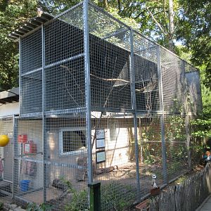 Blue and Yellow Macaw Exhibit