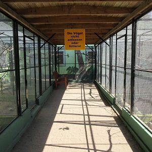 Bird House - row of aviaries along each side