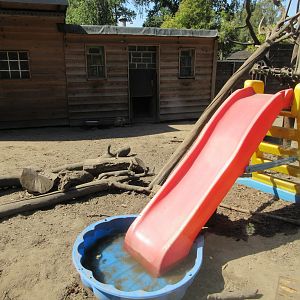 Coati Exhibit (small part of enclosure)