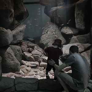 Lake Tanganyika exhibit