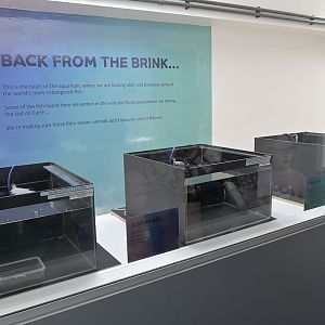 Future conservation display area