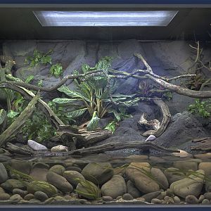 Vietnamese stream exhibit