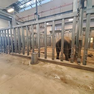 Aug. 2019 - McNair Elephant Habitat - Indoor Stalls