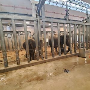 Aug. 2019 - McNair Elephant Habitat - Indoor Stalls