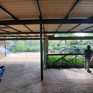 Aug. 2019 - New! Texas Wetlands - American Alligator Exhibit