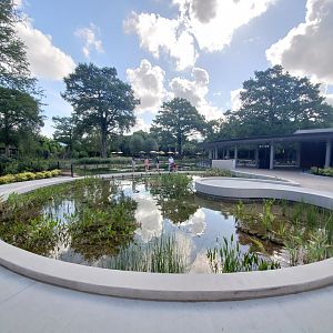 Aug. 2019 - New! Texas Wetlands