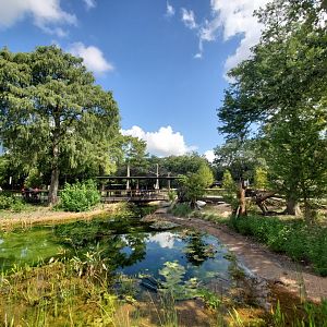 Aug. 2019 - New! Texas Wetlands - Alligator Gar Pond