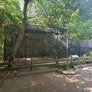 Aug. 2019 - Fischer Bird Garden - Great Indian Hornbill Exhibit