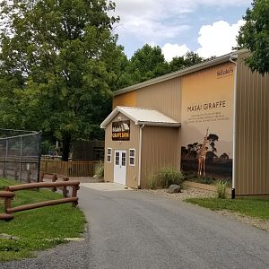 Lehigh Valley Zoo - Masai Giraffe barn