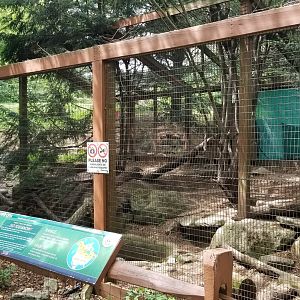 Lehigh Valley Zoo - Canada Lynx exhibit