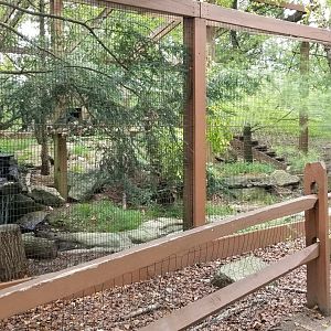Lehigh Valley Zoo - bobcat exhibit