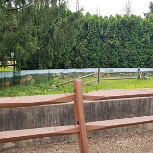 Lehigh Valley Zoo - old prairie dog exhibit, now empty