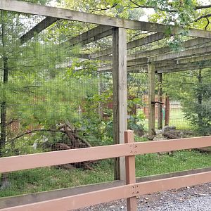Lehigh Valley Zoo - gray fox exhibit