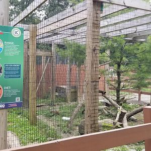 Lehigh Valley Zoo - fisher