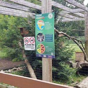 Lehigh Valley Zoo - Ringtail and skunk exhibit