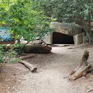 Lehigh Valley Zoo - "wolf den" for kids