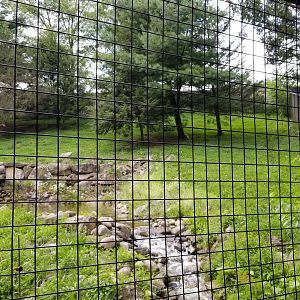 Lehigh Valley Zoo - Mexican grey wolf exhibit
