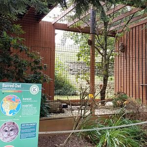 Lehigh Valley Zoo - barred owl